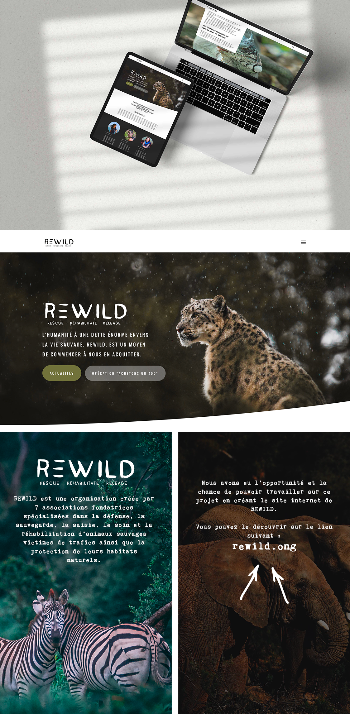 rewild